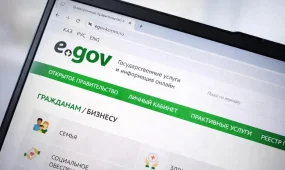 Казахстанец заявил, что случайно вошел в чужой аккаунт eGov (ВИДЕО)
