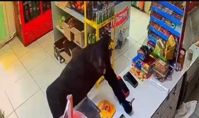 Оралда азық-түлік дүкеніне қарақшылық шабуыл жасаған күдікті ұсталды