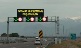 Названа главная причина 91% аварий на казахстанских трассах