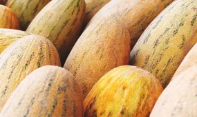 Астанада 353 келіден астам қауіпті өнім саудадан алынды