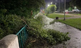 Өскеменде дүлей дауылдан 25 мыңға жуық абонент жарықсыз қалды