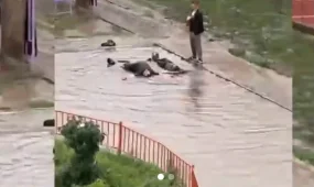 Ішімдік ішіп, балаларға шалшық су шашқан