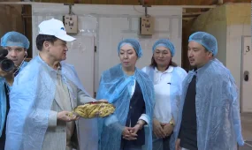 «Ақ жол» партиясының кандидаттары еңбек ұжымымен кездесу өткізді