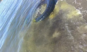 Масляные пятна обнаружили в Каспийском море у пляжа Аташ