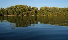 Две сестры утонули во время отдыха с родителями близ Астаны