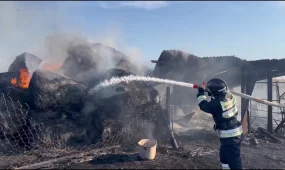 Свыше 150 тонн сена сгорела в Восточном Казахстане в результате пожаров
