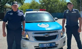Павлодар облысында полицейлер жоғалған 5 жасар қызды 15 минутта тапты