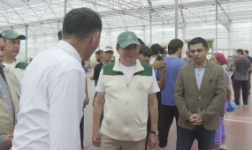 Кандидаттар жылыжай кешенінің жұмысшыларымен кездесті