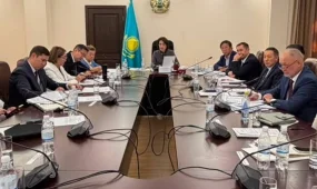 В Казахстане снизились показатели материнской смертности и гибели в ДТП — итоги Минздрава