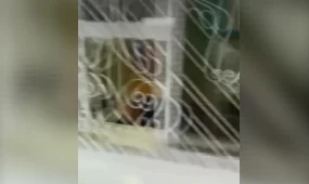 Екібастұзда 37 жастағы жігіт полиция бөлімшесінде қайтыс болды