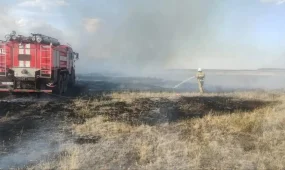 Ақмола облысында құрғақ шөп өртенді