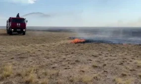 Атырау облысында құрғақ шөптің жануы толық сөндірілді