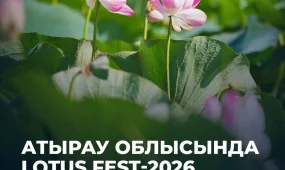 Атырау облысында Lotus Fest-2026 фестиваліне екі күнде 40 мыңнан астам адам қатысты