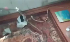 ТЖМ құтқарушылары жеке тұрғын үйден жыланды алып шықты