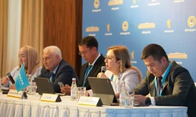 Түркі мемлекеттері Парламенттік Ассамблеясының бақылаушылары: Құрылтай сайлауы жоғары деңгейде өтіп жатыр