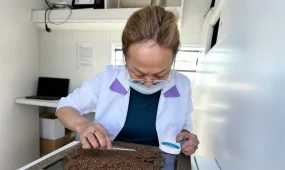 Ақтөбе шекарасында қызанақ пен айсберг салатынан карантиндік зиянкес анықталды