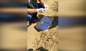 Полицейские Актобе изъяли более 370 свёртков с наркотиками у предполагаемых закладчиков