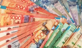 Елордада жалған хабарландыру арқылы 850 мың теңге жымқырған күдікті ұсталды