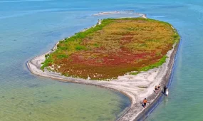 Новый остров появился в Каспийском море  Источник