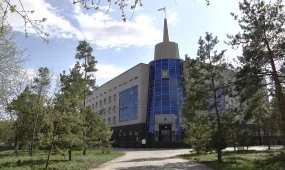 600 млн тенге спустили на ставки неплательщики алиментов в Павлодарской области
