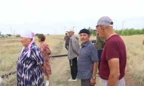 Жители села в Актюбинской области боятся остаться без воды из-за строящегося мясокомбината