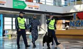 Көлік полициясы көші-қон заңнамасын бұзған шетелдіктерді анықтады