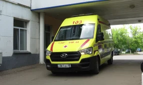 Возбужденная и агрессивная: 40-летнюю пациентку, употребившую мухоморы, спасли врачи в Петропавловске