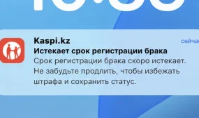 Казахстанцев предупредили о новой мошеннической схеме с «продлением брака»