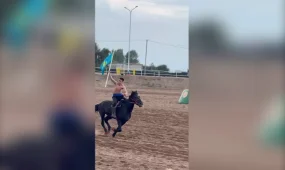 Көшпенділер ойындарында қоржынға алғашқы медальдар түсті