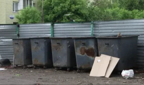 Полиция за два часа установила женщину, оставившую новорожденную девочку в мусорном контейнере