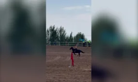 Казахстан завоевал первые два золота на Всемирных играх кочевников