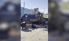 60 кг марихуаны изъяли у двух жителей Павлодара