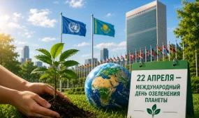 ООН поддержала инициативу Казахстана об учреждении Международного дня озеленения планеты