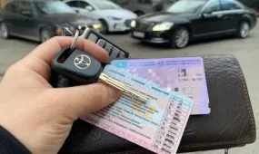 Елімізде 7400 адам көлік жүргізу құқығынан айырылды