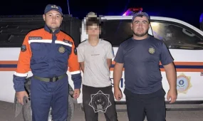 Житель Шу заблудился на луковом поле