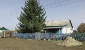 Қызылжарлық зейнеткер 89 жастағы анасын өлтірді