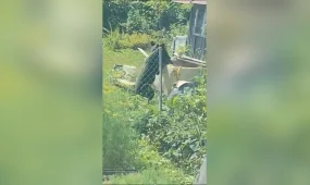 В ВКО медведи все чаще выходят к людям
