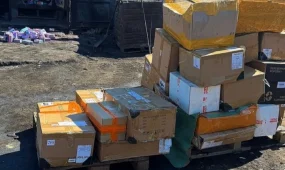 570 млн теңгені құрайтын өнім заңсыз айналымнан шығарылды