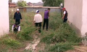 Жастар жалғызбасты қарттарға қолғабыс көрсетті