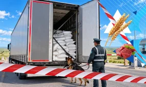 На границе в ЗКО пресекли незаконный ввоз 107 тонн мяса и отрубей