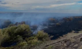 Ақмола облысында 148 гектар аумақтағы дала өрті сөндірілді