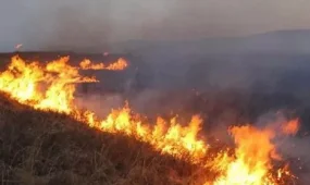 ТЖД жүргізушілерге ескерту жасады