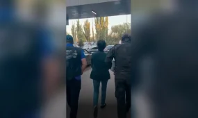 «The Finiko» қаржы пирамидасының басшысы ұсталды