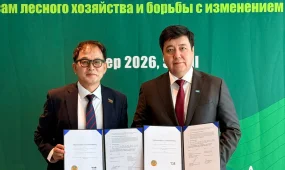 Казахстан и Южная Корея запустили масштабные лесные проекты на 100 тысяч гектаров
