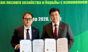 Қазақстан мен Корея орман саласындағы ынтымақтастықты кеңейтуде