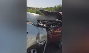 Алматыда көршісінің көлігін айдап кетіп, жол апатына ұшырады