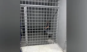 Алматыда прокурор жанжал шығарды деген айыппен қамауға алынғаны туралы ақпарат тарады