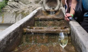 300 литров вина превратили в водопад на барочной лестнице (ВИДЕО)