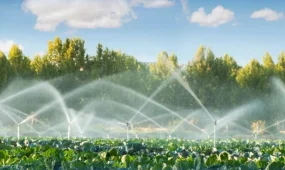 Су үнемделетін алқаптар көлемі үш есеге өсті