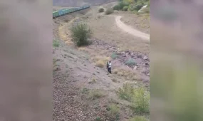 Железнодорожники спасли блуждающего по степи четырехлетнего ребенка